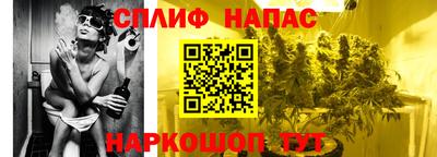 индика Моздок