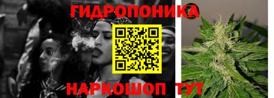 индика Моздок